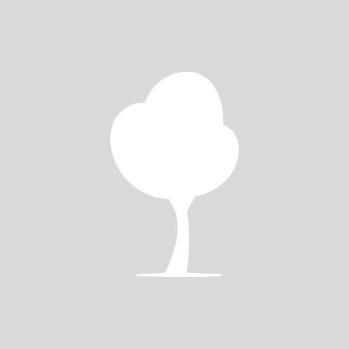 Custom AI Video - Standard